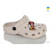 Кроксы Lot Shoes